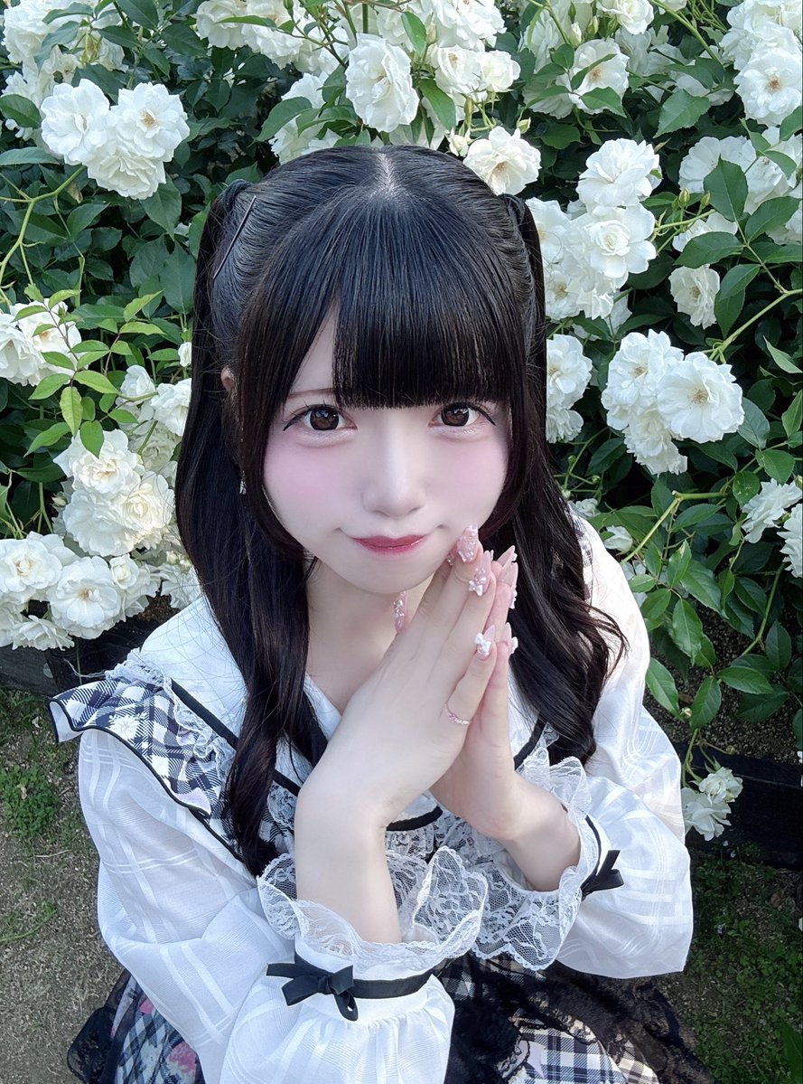 姫菜姫愛(MiDi ON! 新メンバー) tweet media