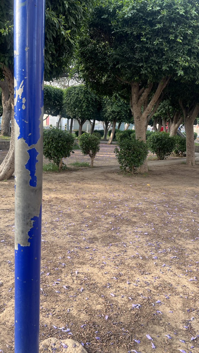 shoomok9's tweet photo. @asirmunicipal @AJali_2030 امانه ذي حديقه تمثل جمال ابها ؟؟؟ https://t.co/WubvzSp8OD