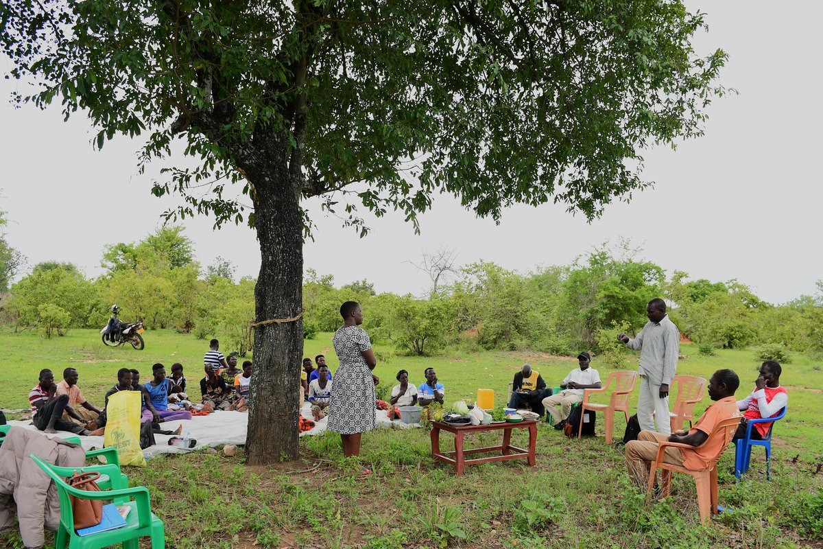 AFARD_UG's tweet photo. Healthy harvests require healthy families. In Nebbi, the CREMOV project dialogue helped men and women link climate action with home health. Households are now building cookstoves, planting trees, and sharing roles to prevent violence and ensure better nutrition. 
#CREMOV #Nebbi https://t.co/Nqt8te73mq