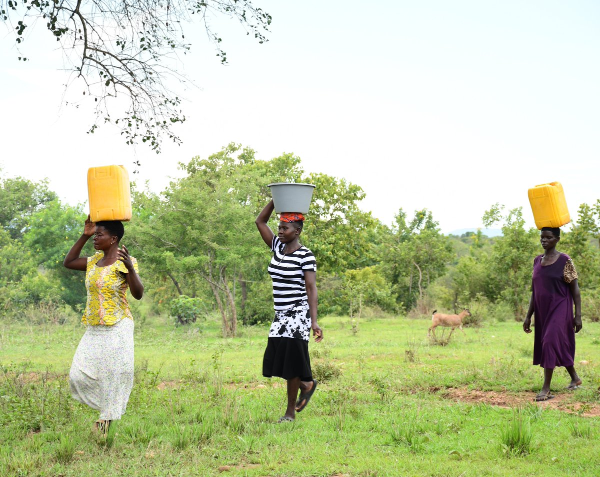 AFARD_UG's tweet photo. Healthy harvests require healthy families. In Nebbi, the CREMOV project dialogue helped men and women link climate action with home health. Households are now building cookstoves, planting trees, and sharing roles to prevent violence and ensure better nutrition. 
#CREMOV #Nebbi https://t.co/Nqt8te73mq