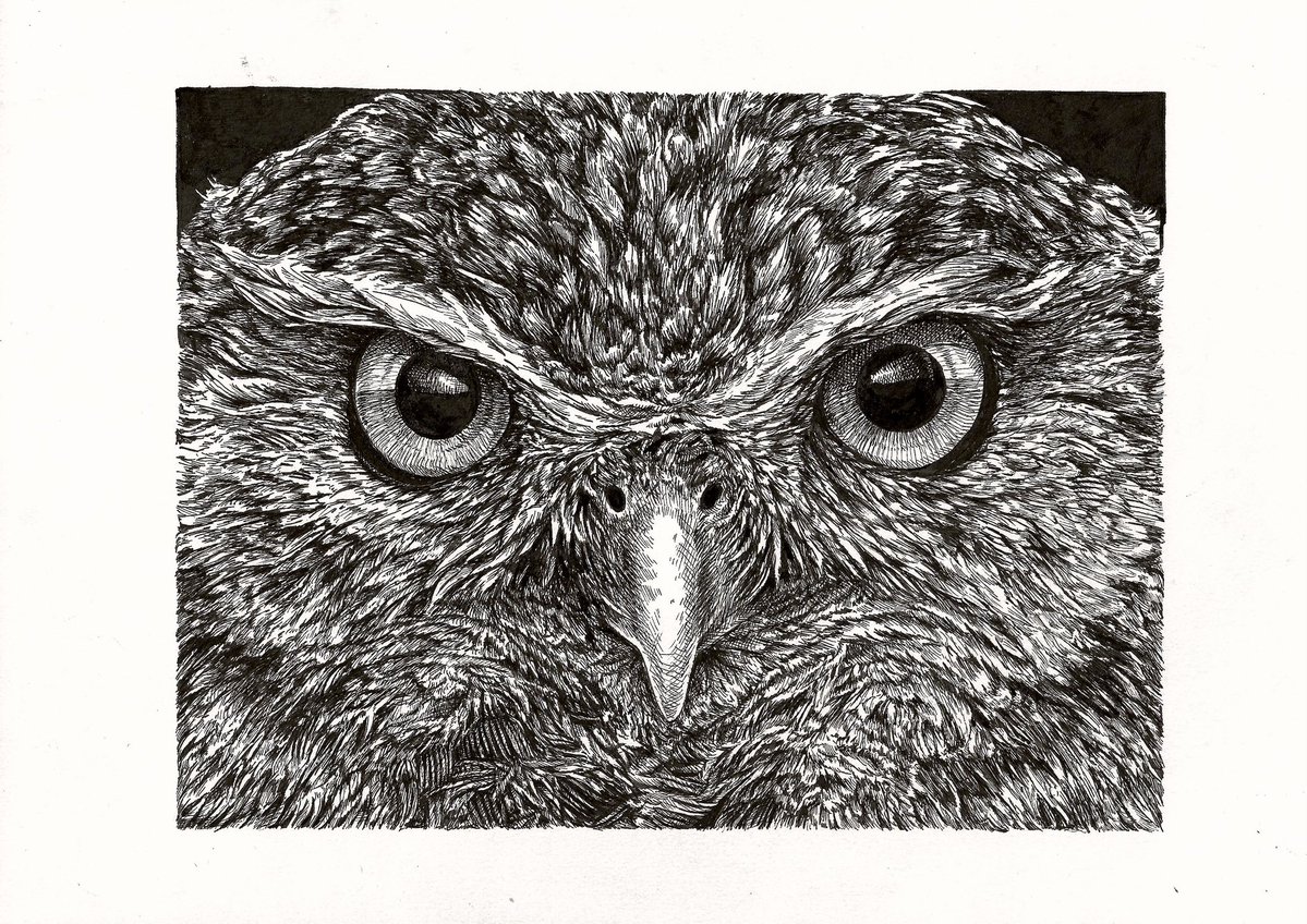 Bas Geeraets 🦉 tweet media