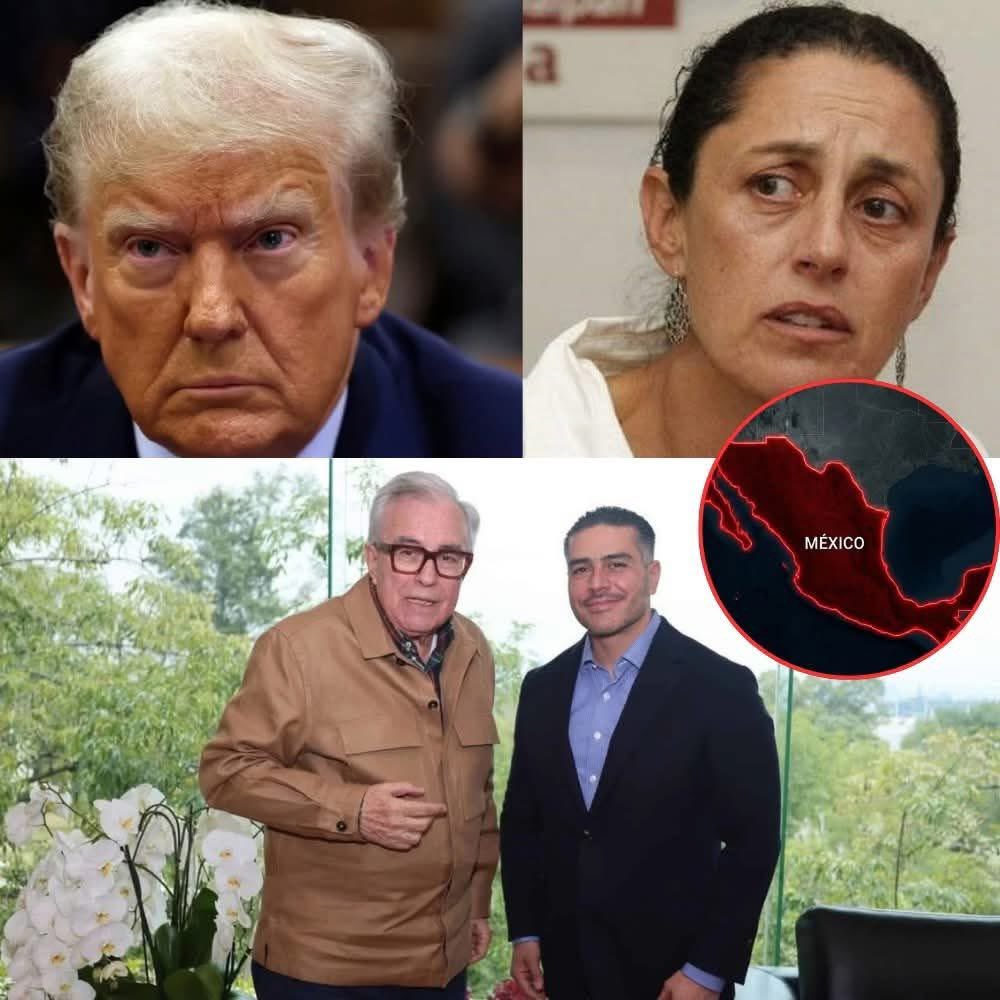Vigia Ciudadano tweet media