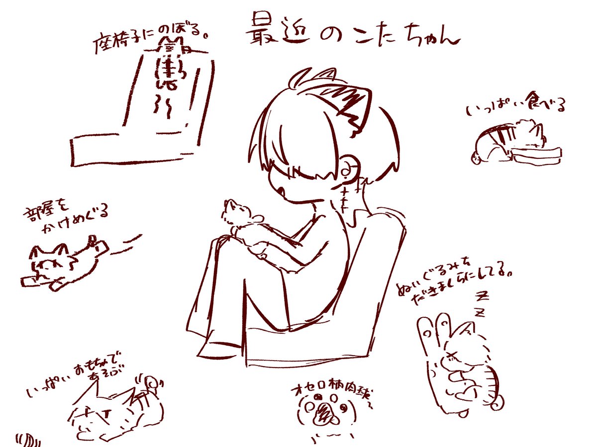 ⚪️猫乃音オセロ⚫️🐾@獣人VTuber tweet media