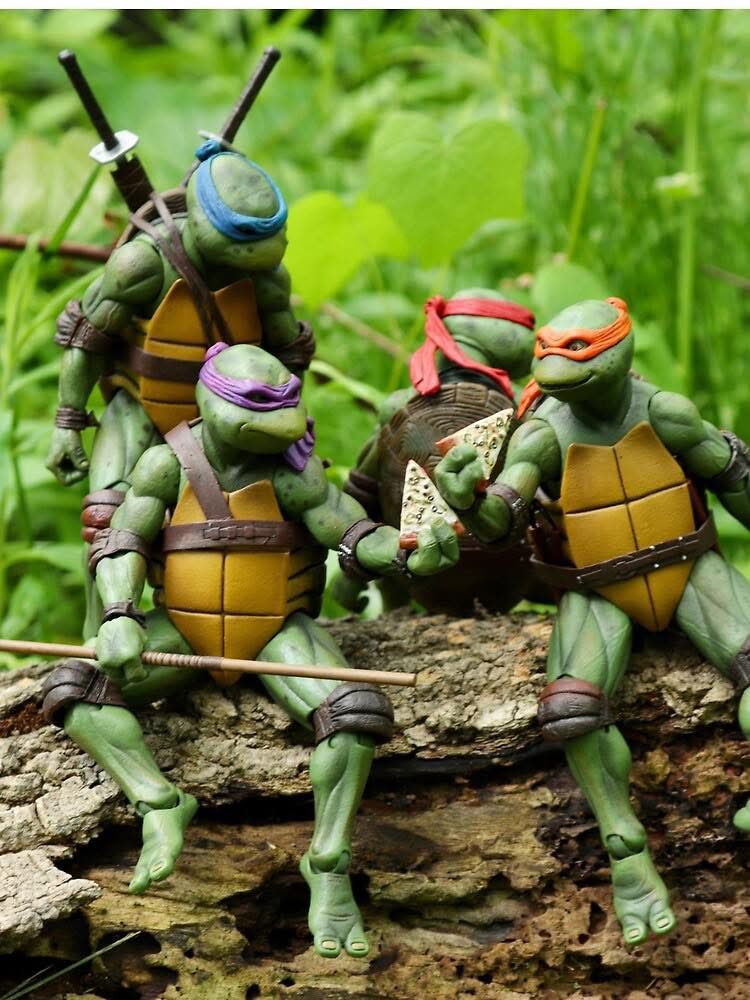 Turtle_Lair tweet media