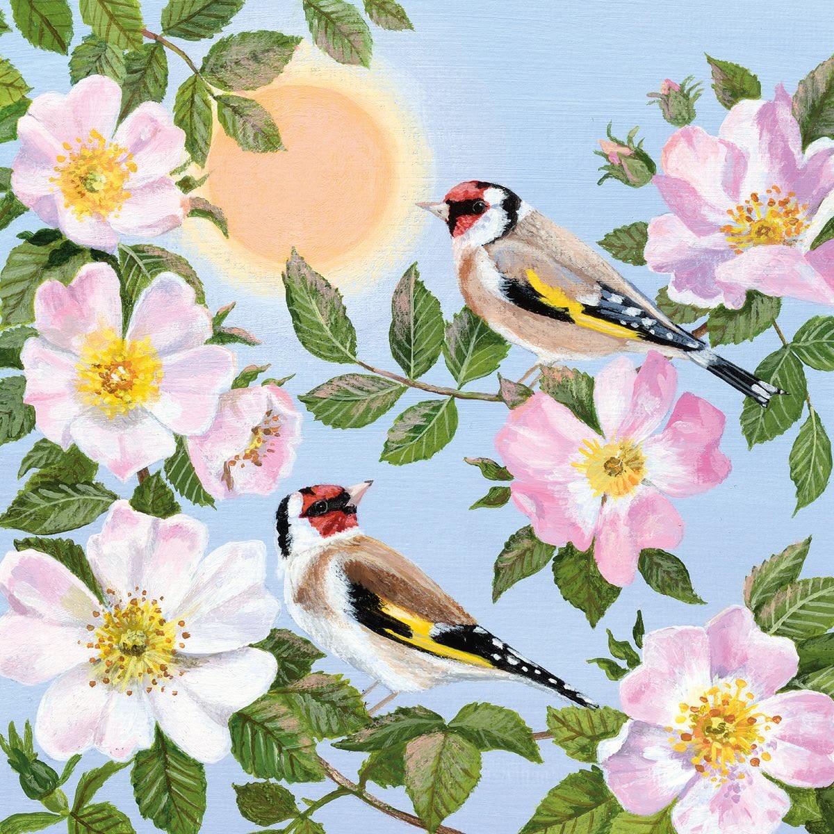 helen warlow tweet media