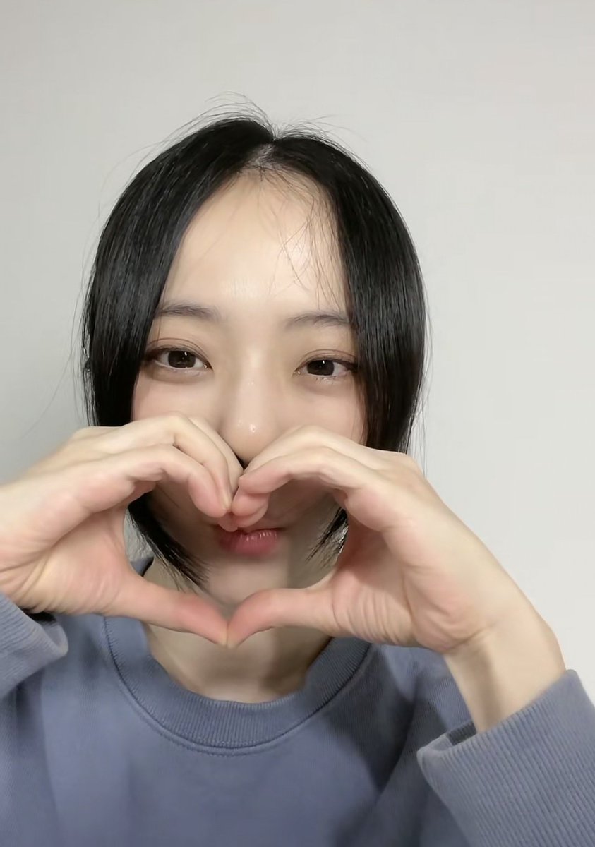 vivi folder tweet media