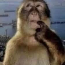 gopa_perro's tweet photo. @huronenfadao @notsouul_ ragebait or low iq https://t.co/ZRPJptt94w