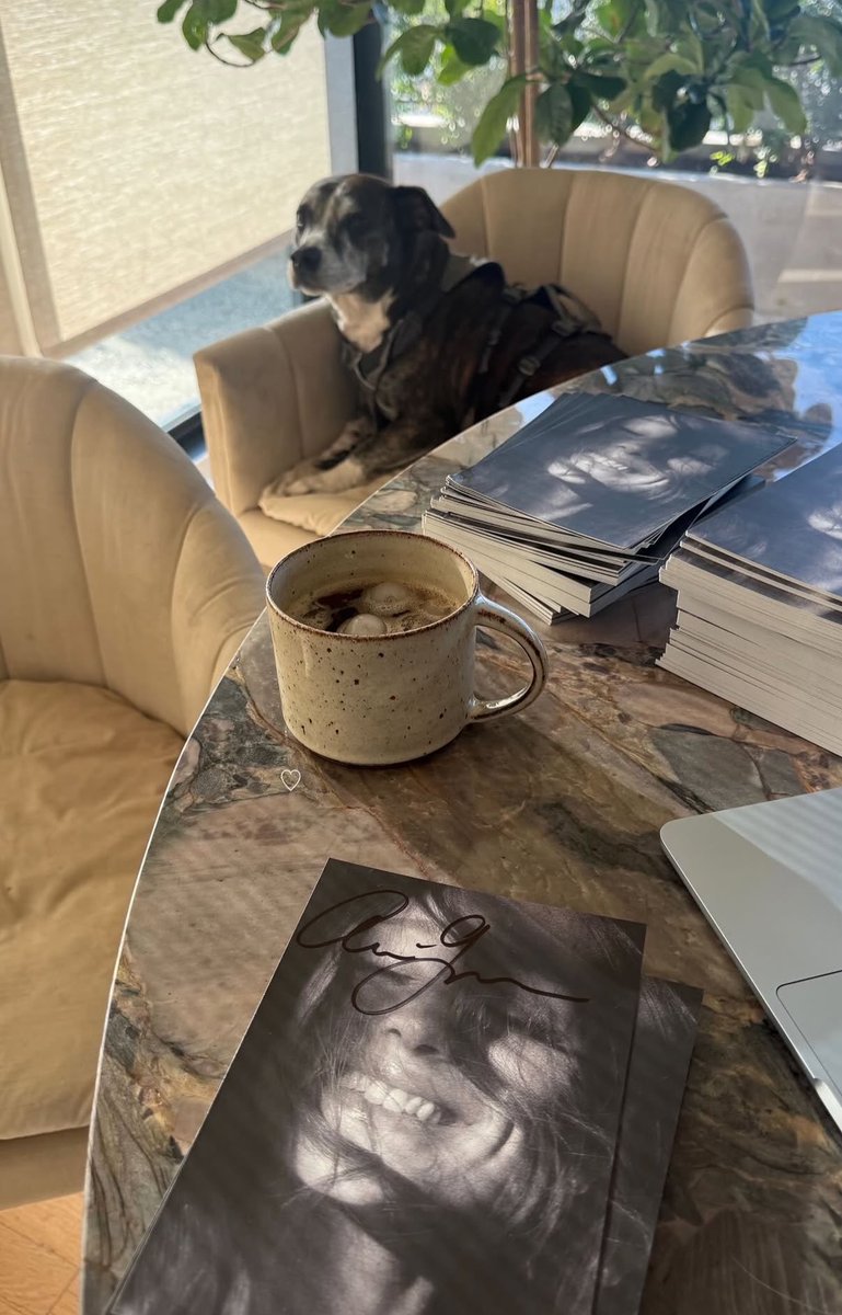carly ☀️ ꕤ tweet media