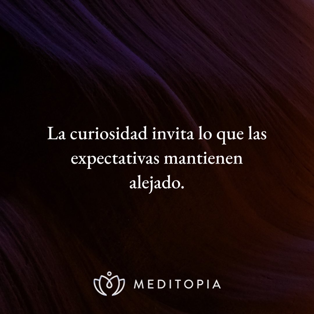 Aníbal tweet media
