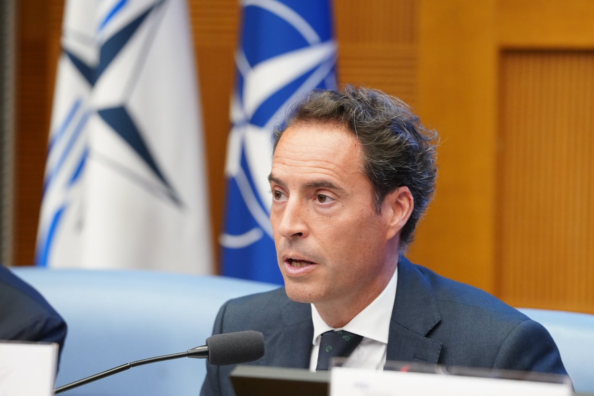 NATO PA / AP-OTAN tweet media