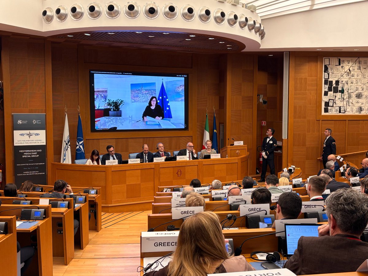 NATO PA / AP-OTAN tweet media
