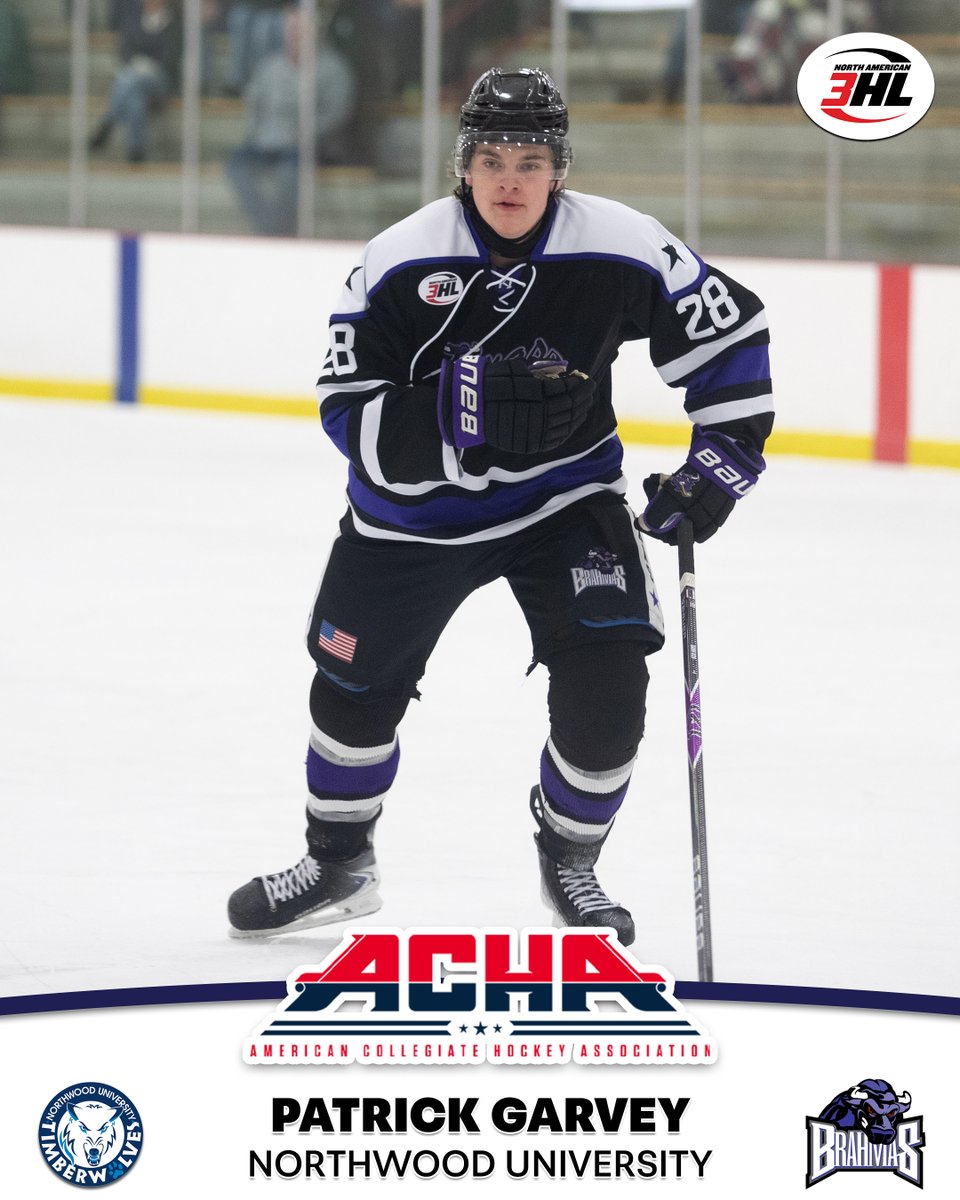 NA3HL tweet media