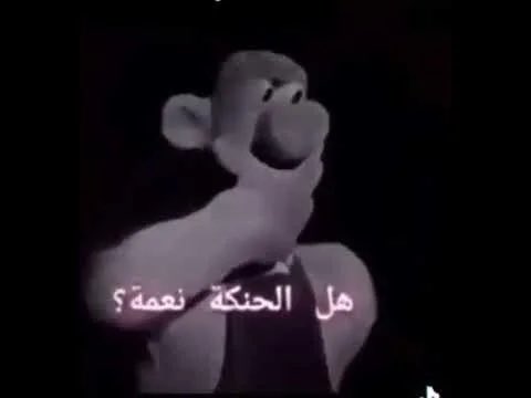 rvokah tweet media