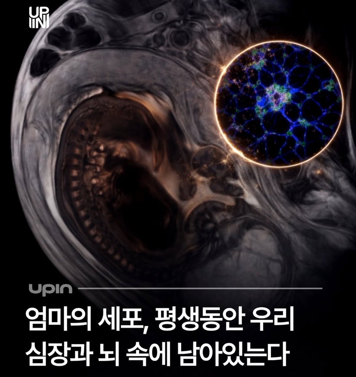 캣츠파파 tweet media