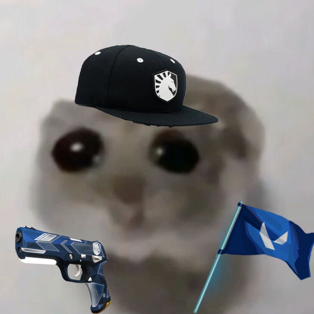 fabiolxa's tweet photo. dia de team liquid visa no VCB https://t.co/6mlpfkhEb1