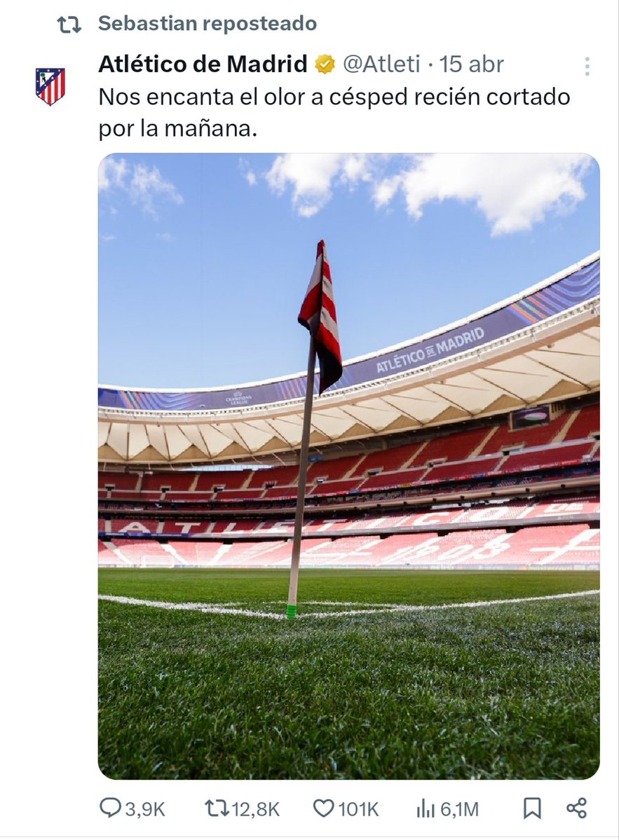 Rapidinha tweet media