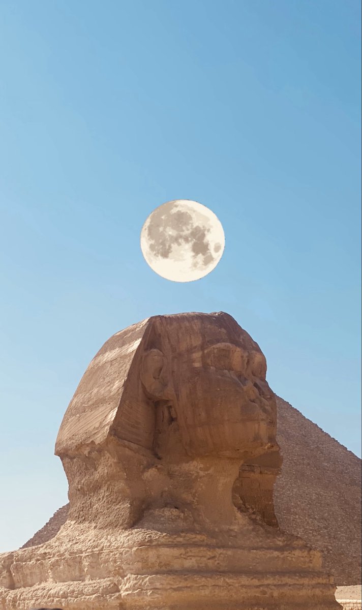 madlenma's tweet photo. Cairo, Egypt
2026. https://t.co/xqBg3ZM3Av
