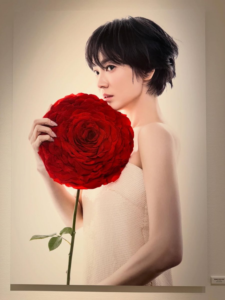 Kyo. tweet media