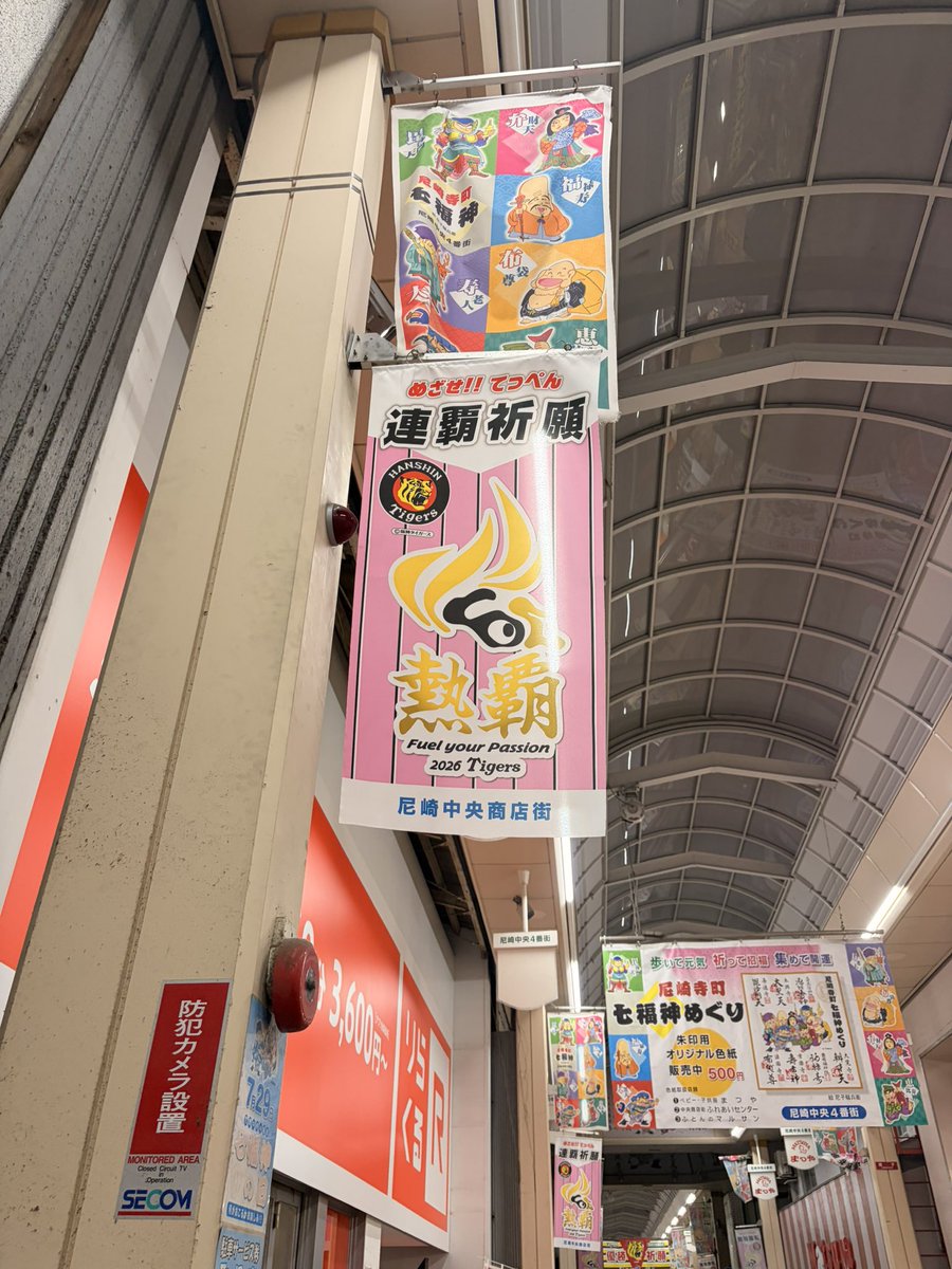 偽たぬき。 tweet media