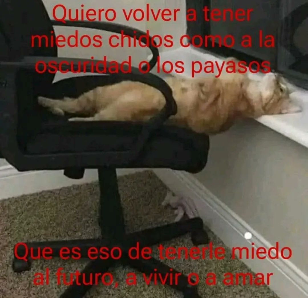 bauldefrases tweet media