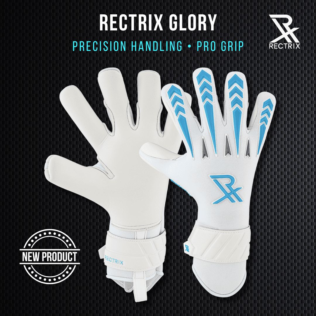 Rectrix tweet media