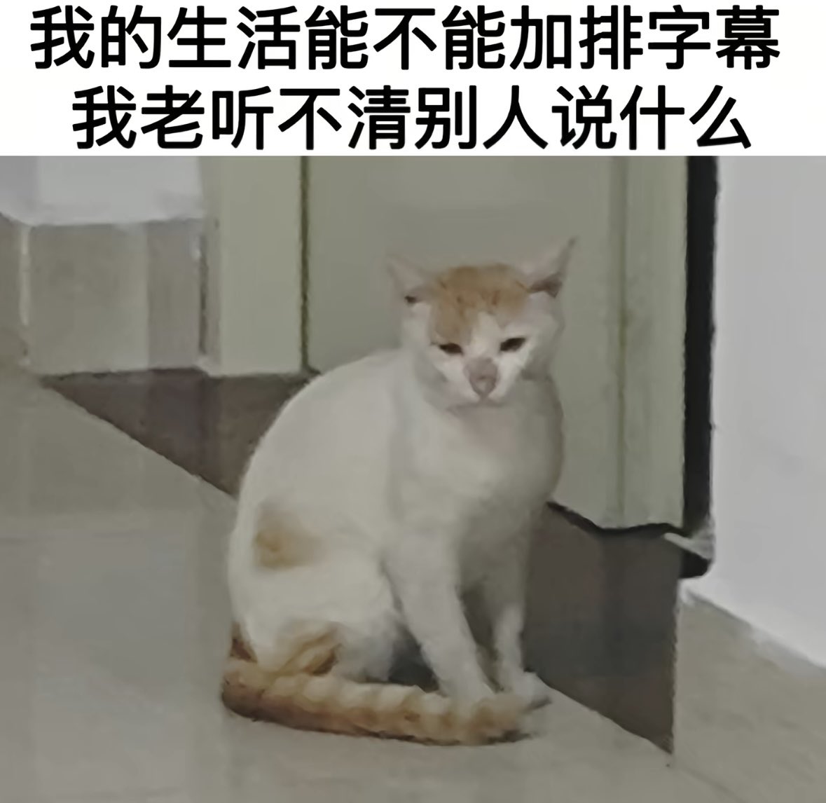 Bi0iB1's tweet photo. 其实我还有散光… https://t.co/eJBGYdjH4f