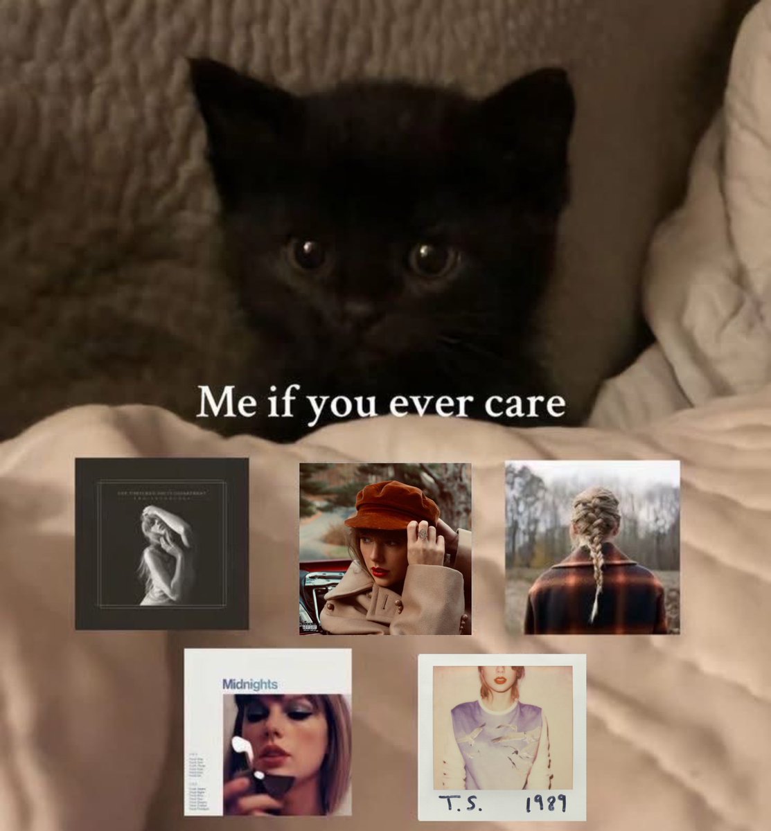 i was a swiftieꕤ⋆.˚ ⸆⸉ tweet media