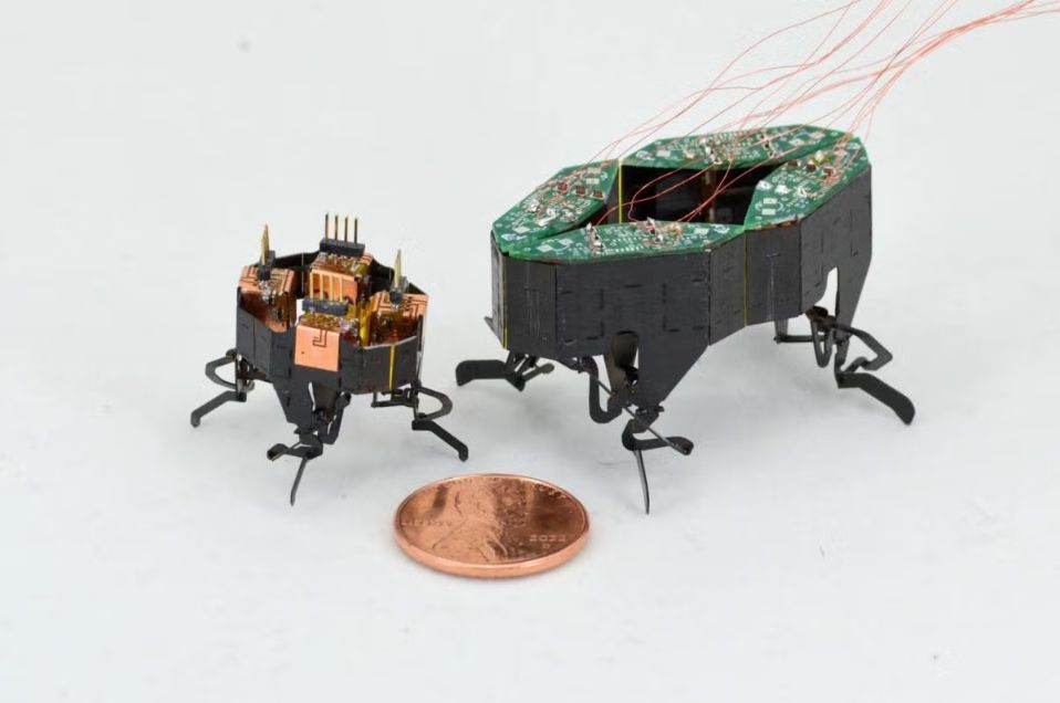 unconv_robots's tweet photo. Dr. Kaushik Jayaram is an associate professor at Imperial College London. His research combines biology and robotics to uncover principles of intelligence that make animals successful at locomotion in natural environments.
https://t.co/JGcUrNocoZ

Don't miss his talk on June 5th! https://t.co/23jpLB9PzP
