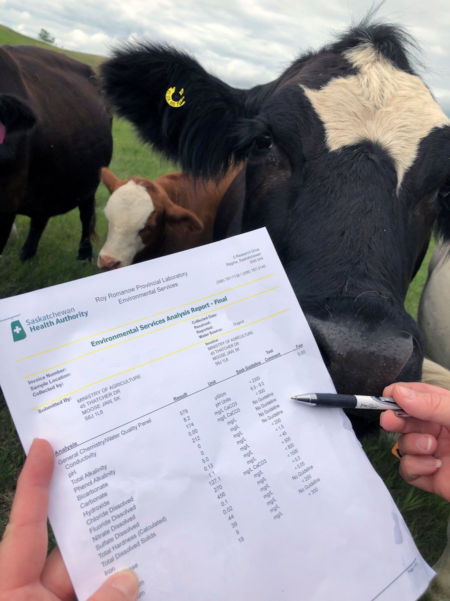 SKAgriculture's tweet photo. Water quality plays a key role in livestock health and productivity. Regular testing provides peace of mind and can help address concerns.

Submit your water samples at a regional office or find a drop off point near you: https://t.co/Azr04oYjJI 

#SaskAG https://t.co/bJ918M48cm
