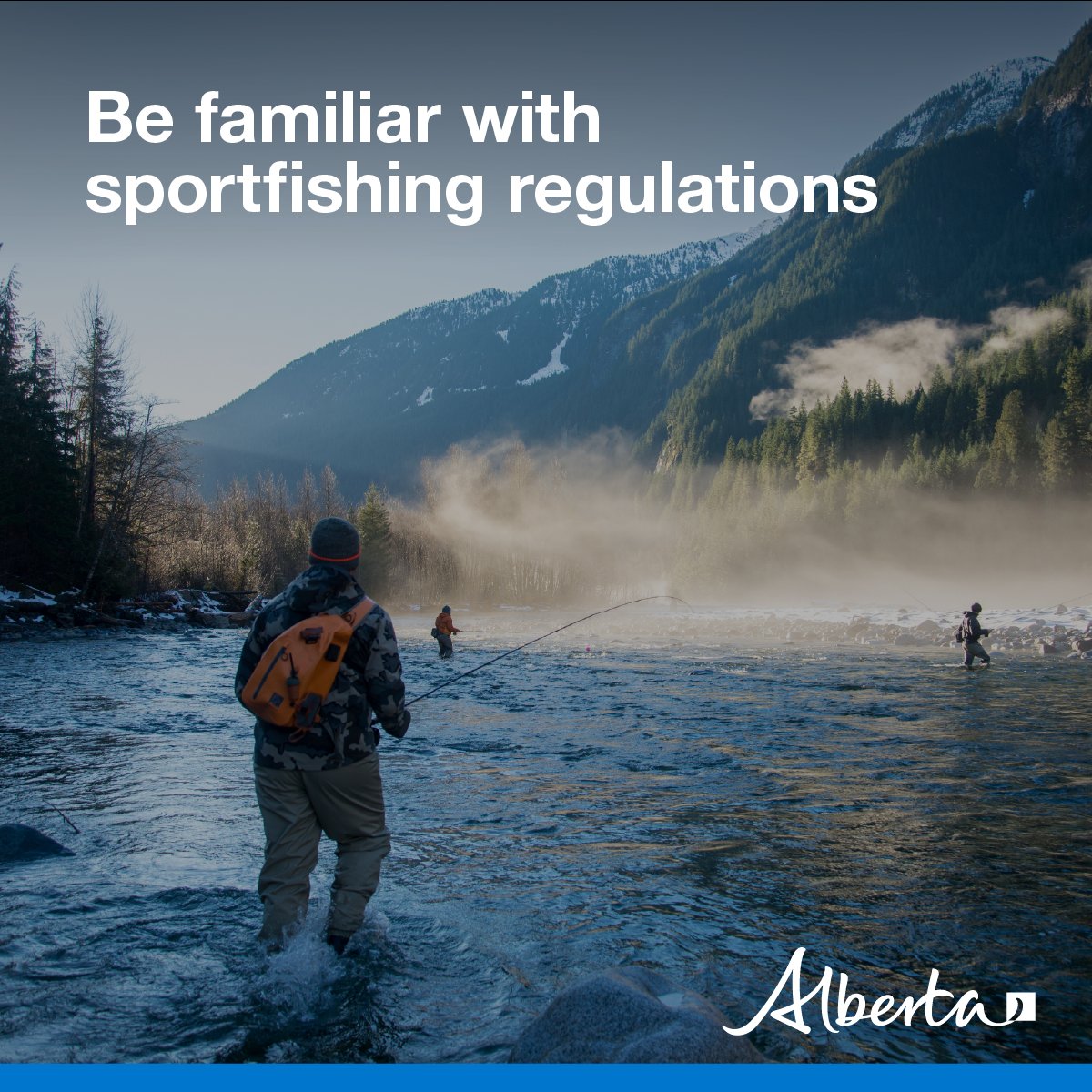 Alberta Fish and Wildlife Enforcement tweet media