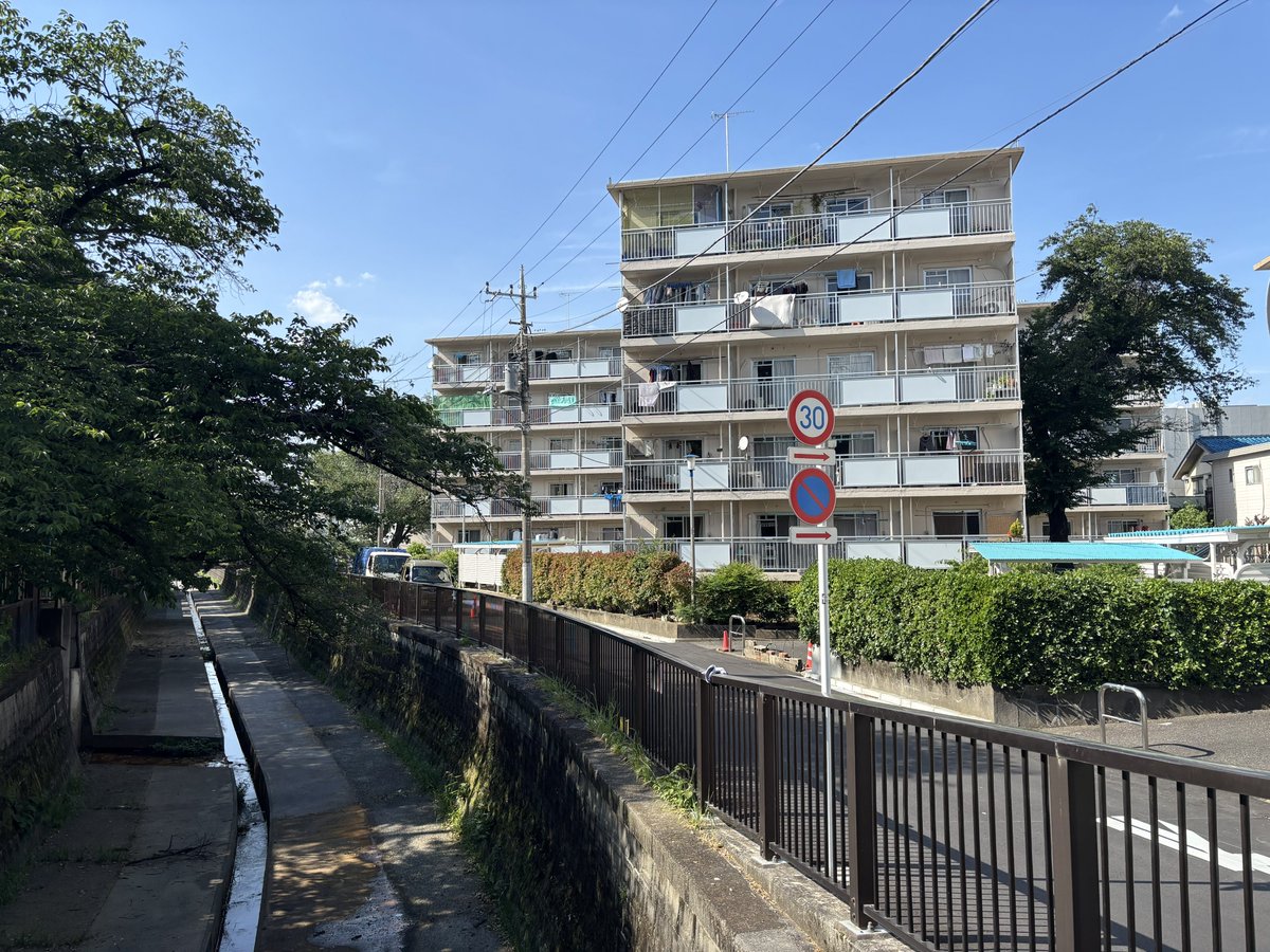 公団ウォーカー 照井啓太 tweet media