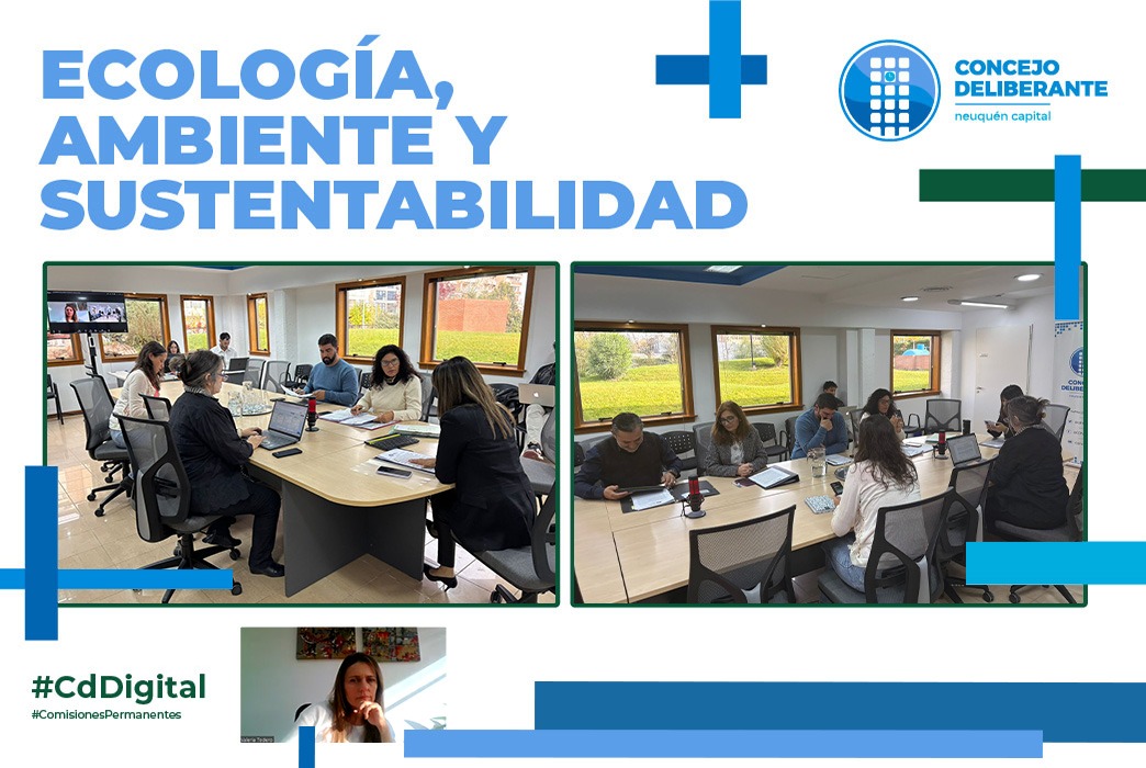 Concejo Deliberante de Neuquén tweet media