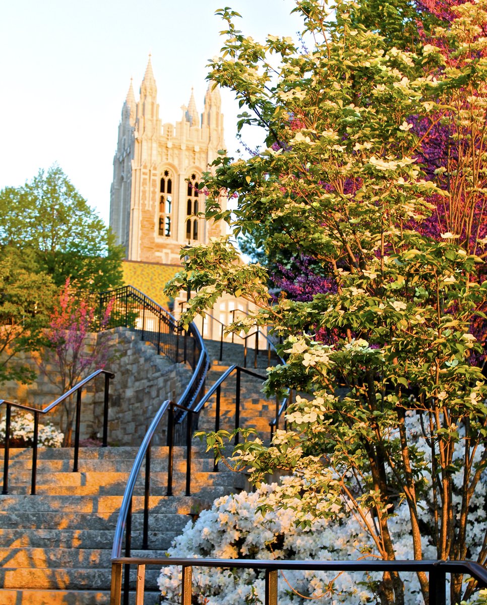BC Alumni tweet media
