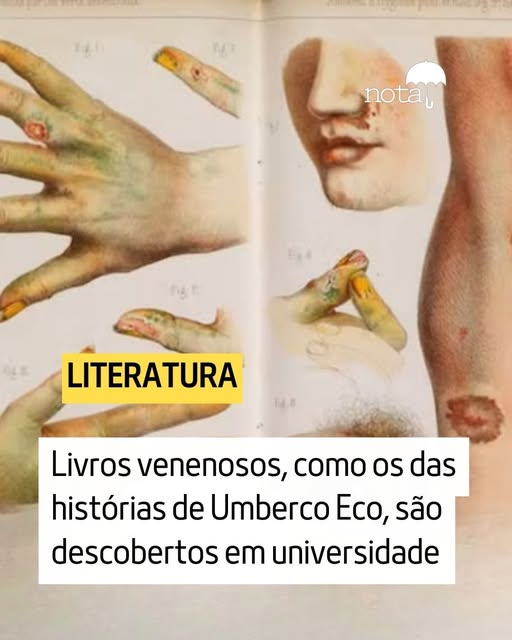 Nota tweet media