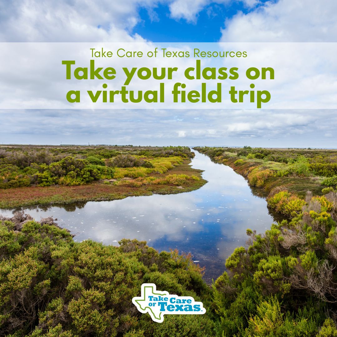 TakeCareOfTX's tweet photo. Wrap up the school year with an adventure, no bus required! Take your class on a virtual field trip and explore Texas rivers, estuaries, and more from your classroom or home. Discover free videos, handouts, and activities here. 👉 https://t.co/xhQj4EYAID https://t.co/AHrW35pwaC