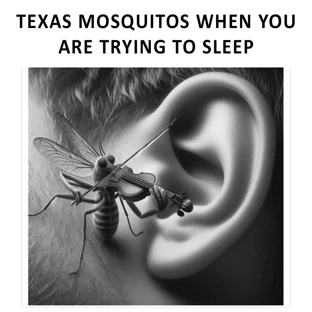 Texas is Life tweet media