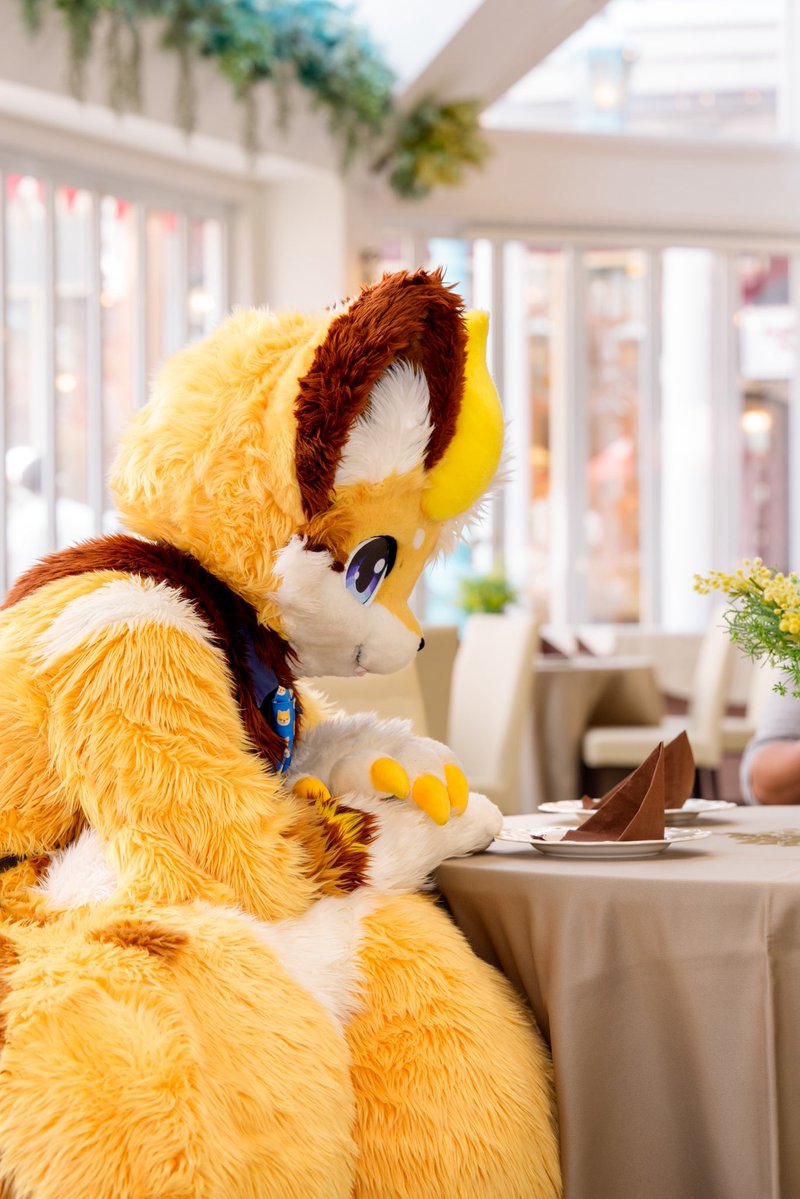 青星(Sirius) (@FurPokezan9501) / Posts / X