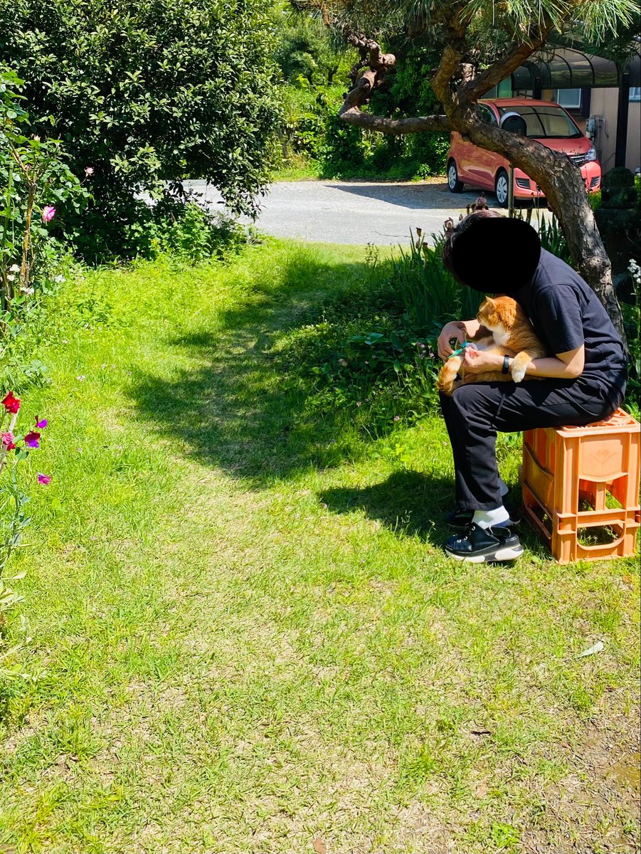 胃 tweet media