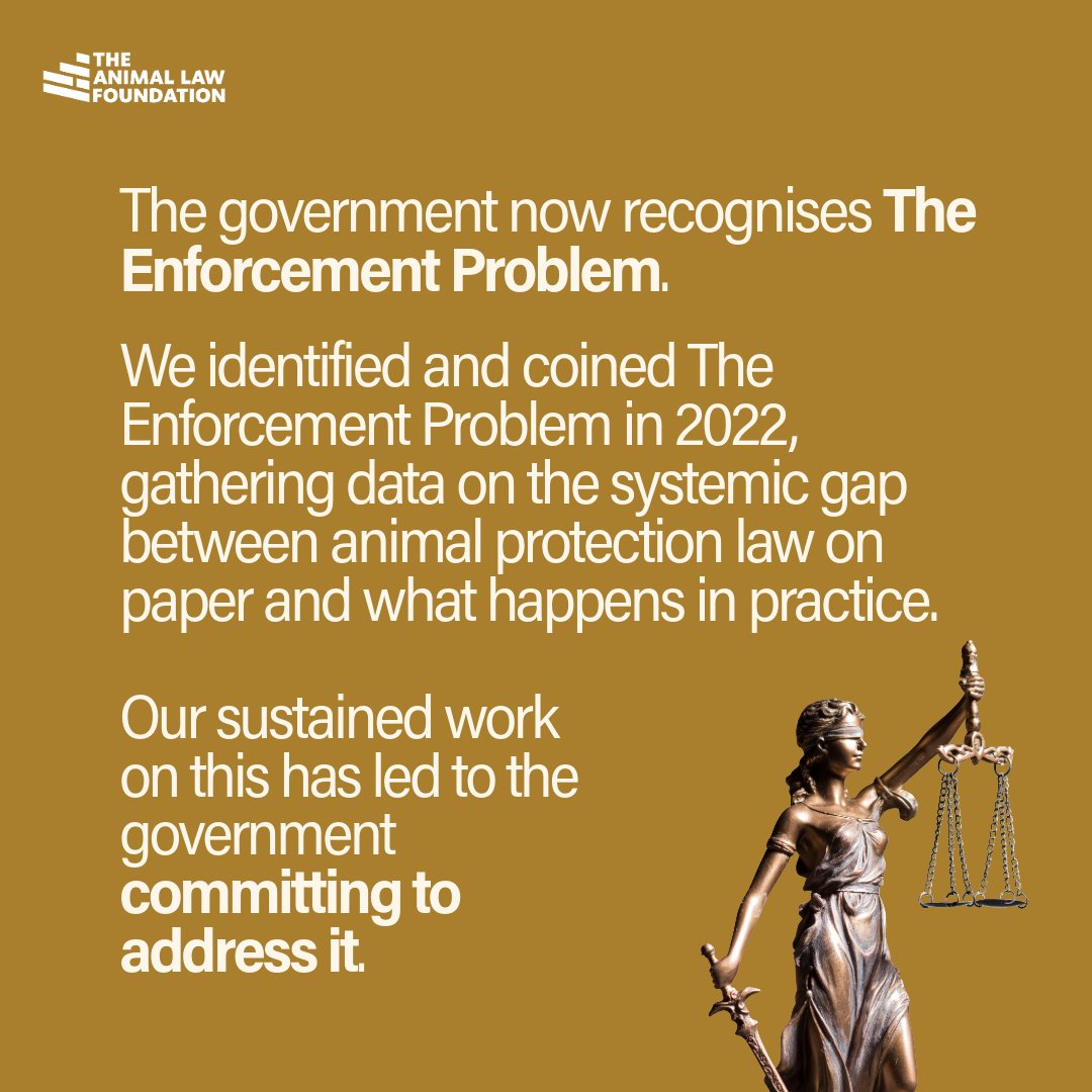AnimallawFDN's tweet photo. https://t.co/qAoIejHc8M