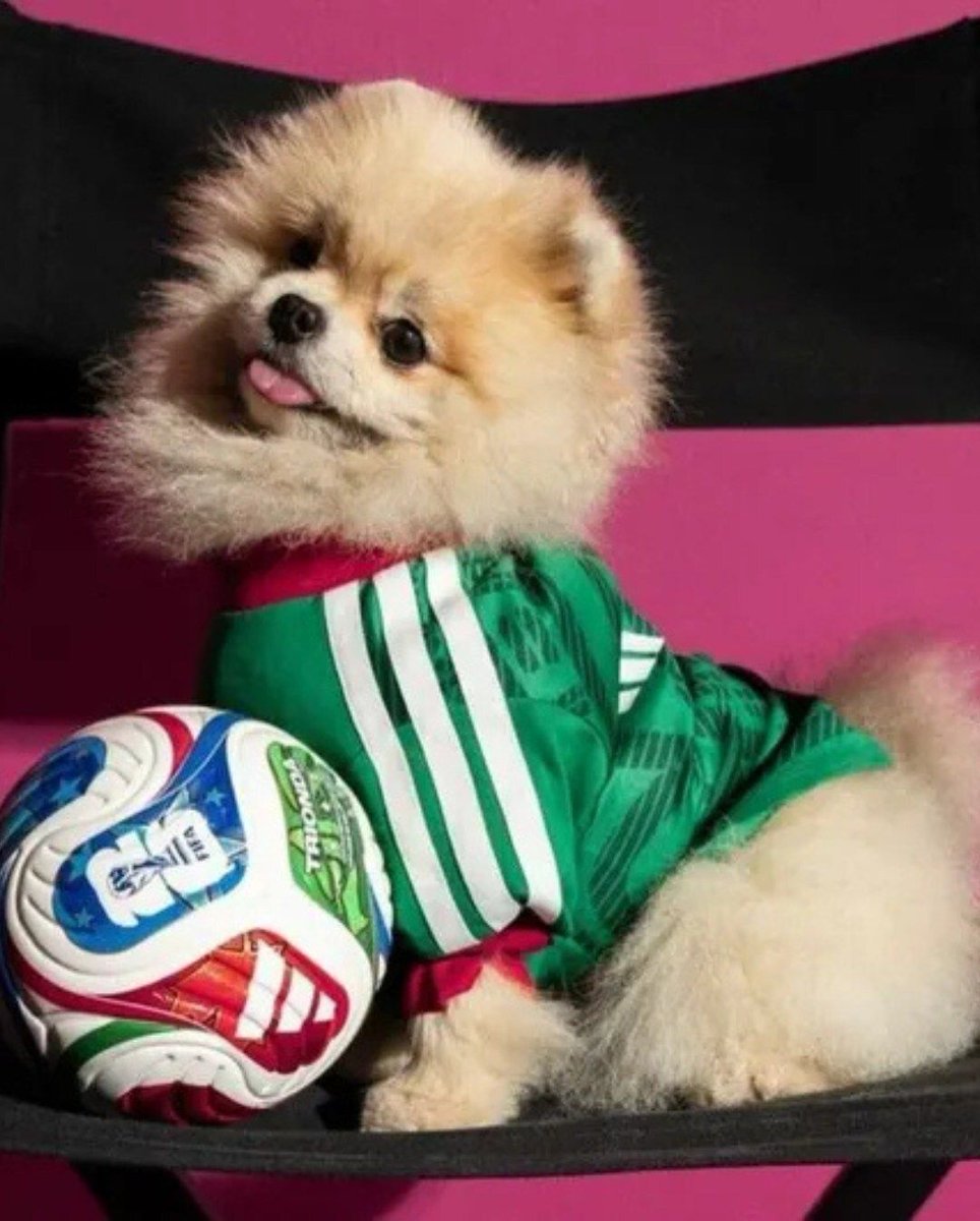 RamonMunozMx's tweet photo. La Copa del Mundo 2026 también será para mascotas.

Adidas lanzó jerseys oficiales para perros con tecnología deportiva y diseños de selecciones nacionales.

El fútbol ya no solo mueve aficionados… también mueve el mercado pet-friendly. https://t.co/qV7Ap3J20q