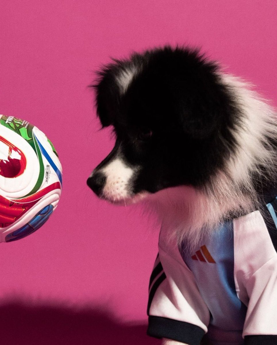RamonMunozMx's tweet photo. La Copa del Mundo 2026 también será para mascotas.

Adidas lanzó jerseys oficiales para perros con tecnología deportiva y diseños de selecciones nacionales.

El fútbol ya no solo mueve aficionados… también mueve el mercado pet-friendly. https://t.co/qV7Ap3J20q