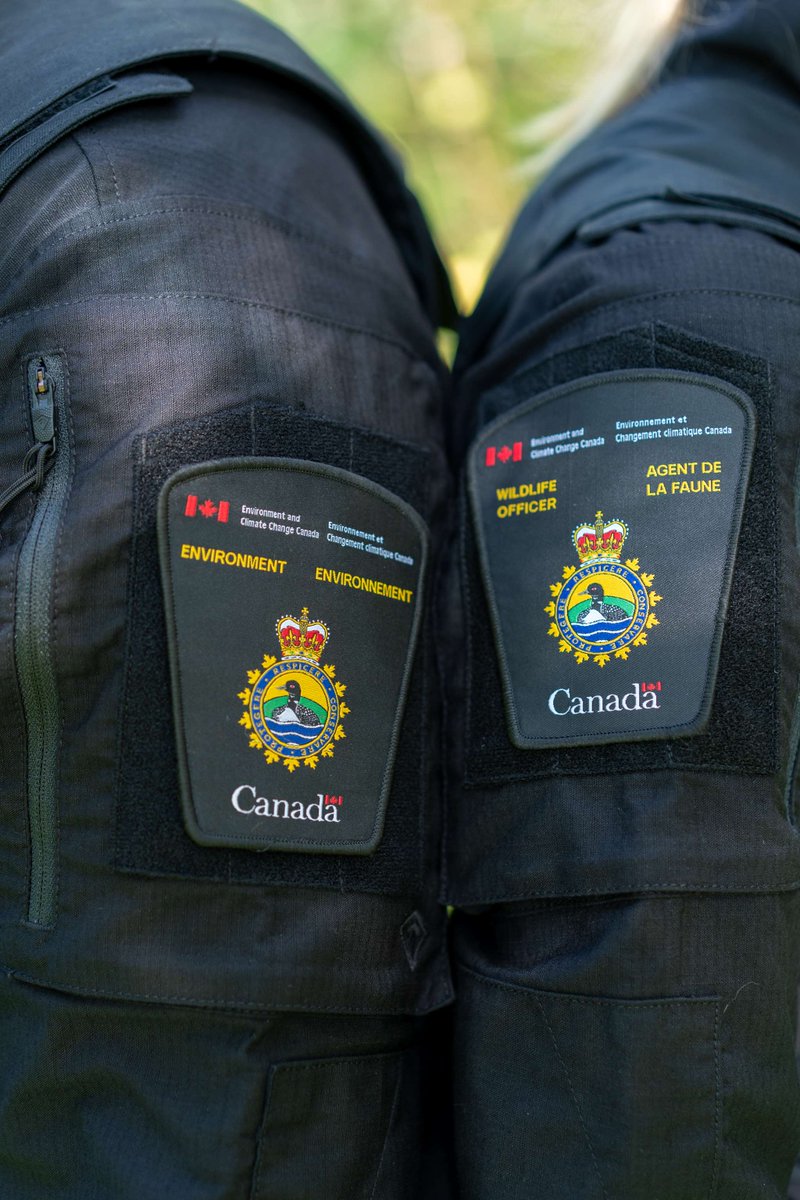 Environment Canada tweet media