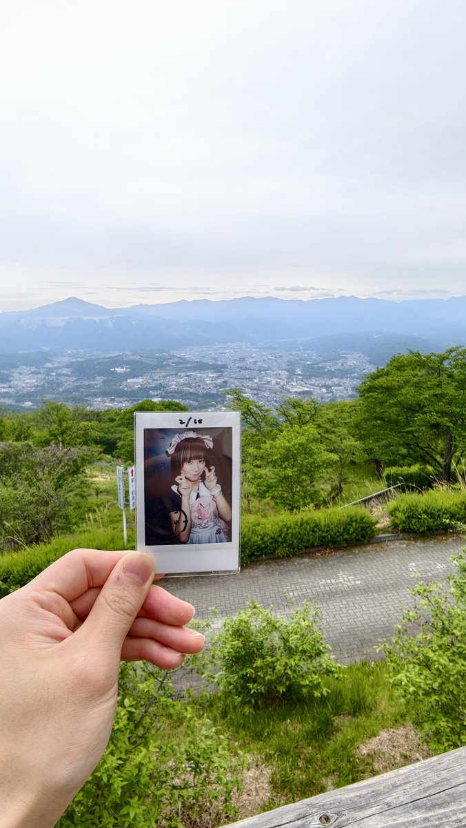 トムトム tomtom tweet media
