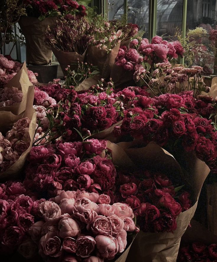 Flowerslovers44's tweet photo. https://t.co/MMU3MbYWGD