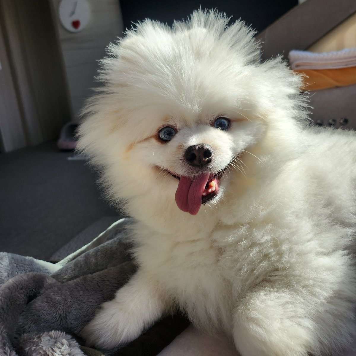 캐중딩 tweet media