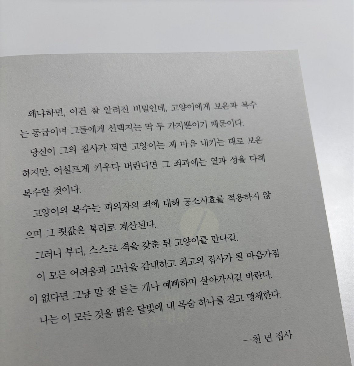 영심ᝰ.ᐟ tweet media