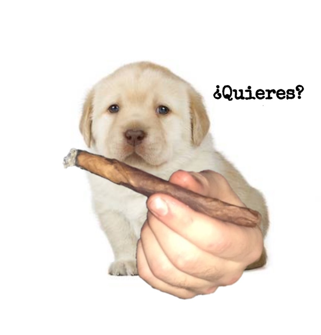 ElTioWizard tweet media