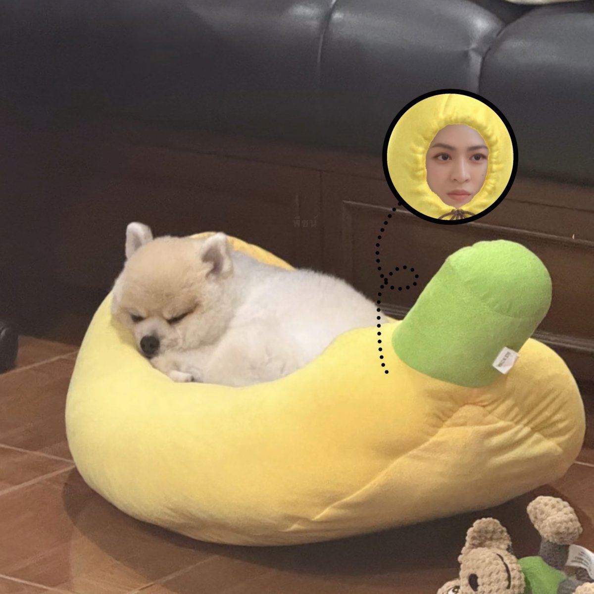 พีชน์ ૮・ᴥ・ა tweet media