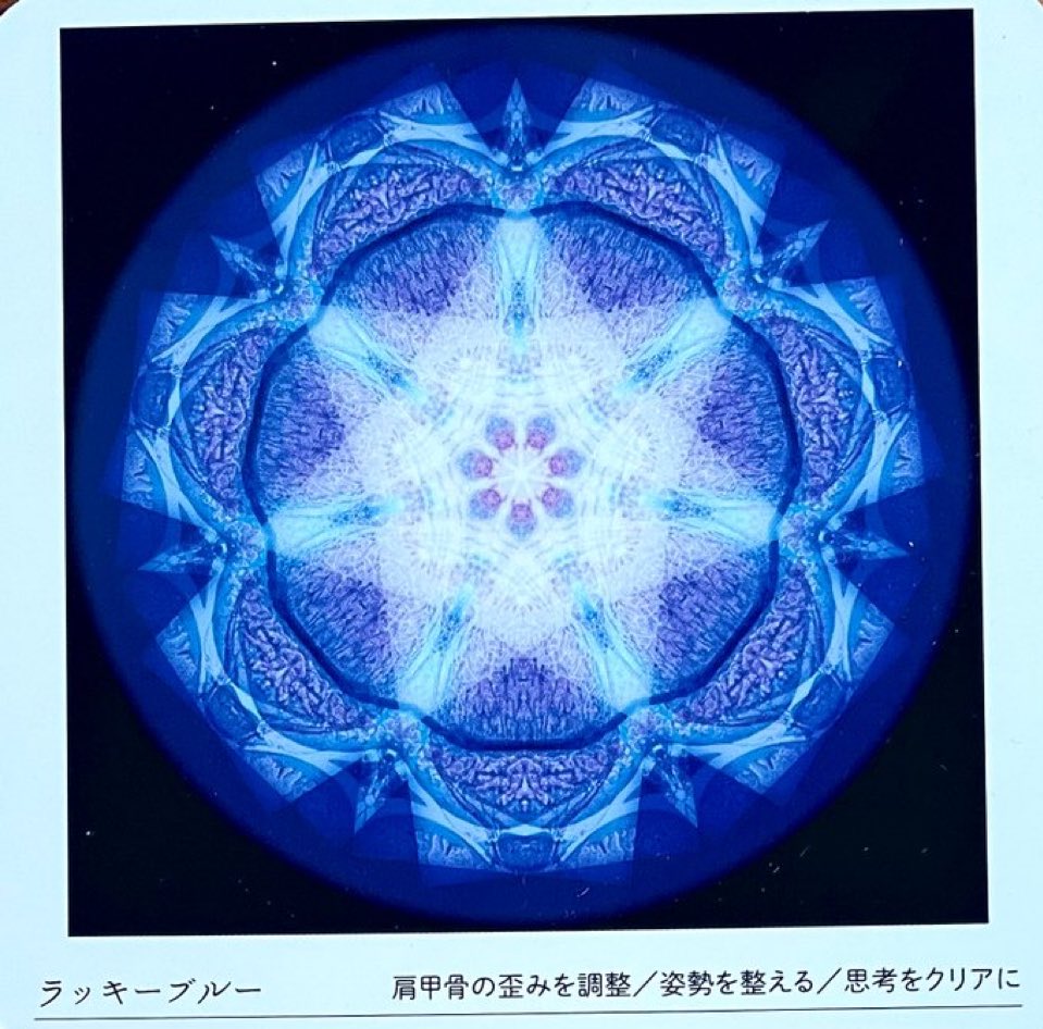 白湯タロット tweet media