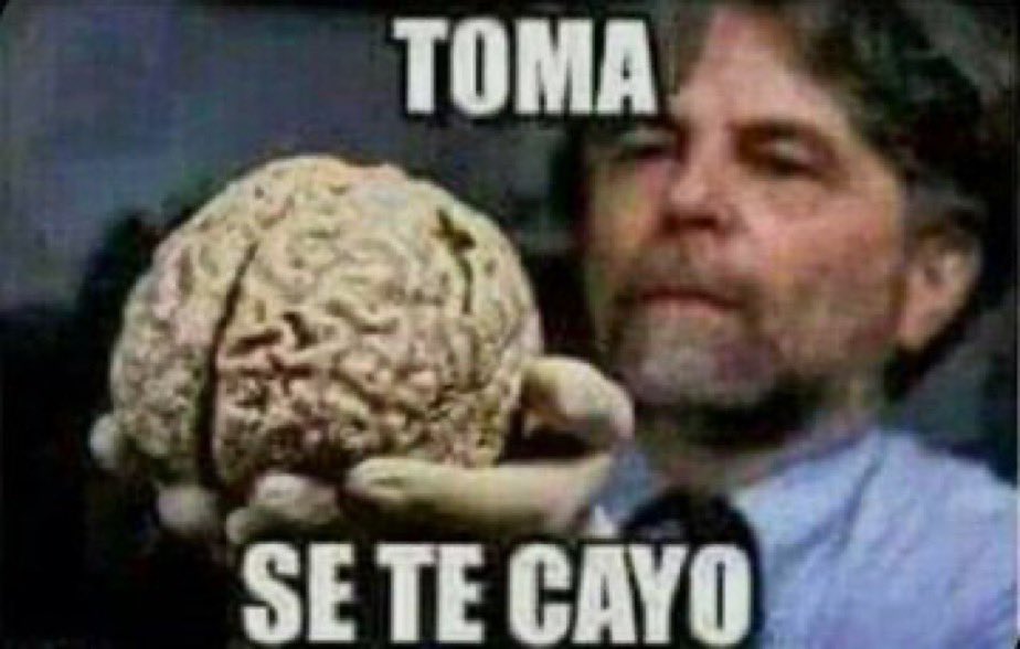 SergiKoala tweet media